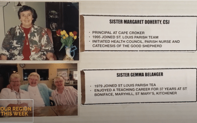 St. Louis Parish Council (Waterloo)